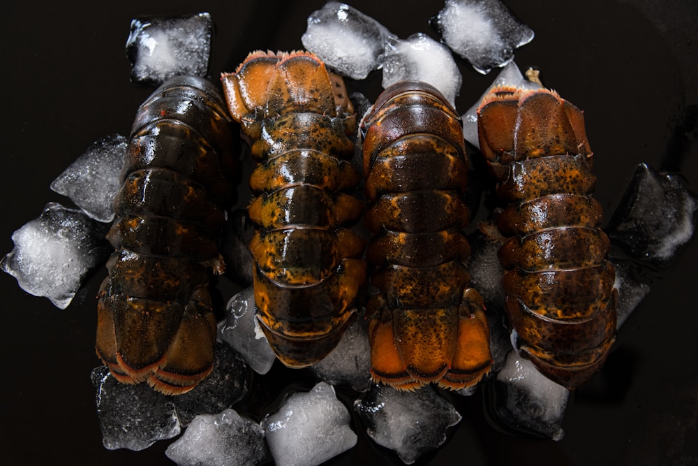 Rock lobster tails on ice